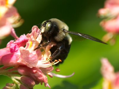 Did you catch the pun in the last caption?  Just wonderin`.