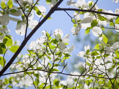 The secret of life is enjoying the passage of time.  JAMES TAYLOR