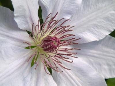 I guess those April showers were worth it after all.