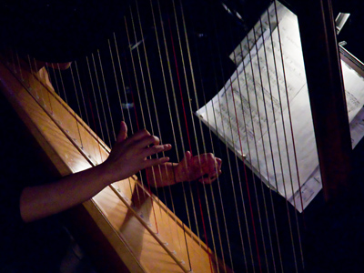 Harp in the dark.