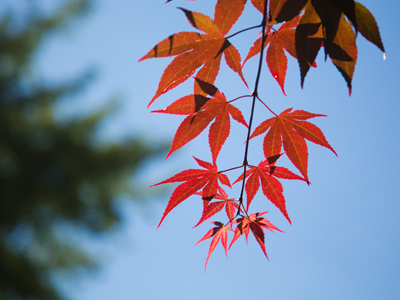 I had to crouch awkwardly for this one, but it worked out.