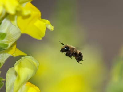 It was a beautiful morning and the garden was full of photographers taking pictures of screaming children.