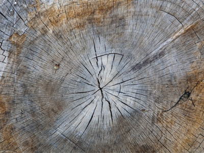 If you`re stumped about what this is, let me give you a hint.