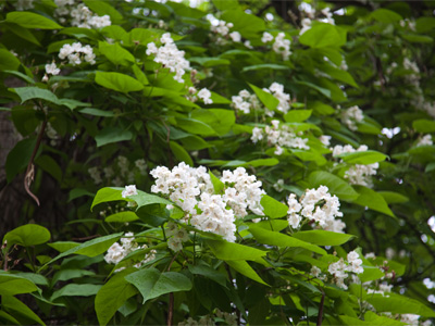Do you like butter on your popcorn?