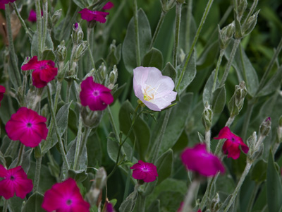 It`s okay to be different.