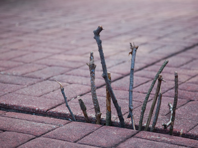 Remnant of early settlements in the Oregon District.