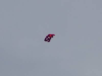 A giant helium-filled 2014 drifts lazily across the sky, liberated from someone`s boring graduation party.