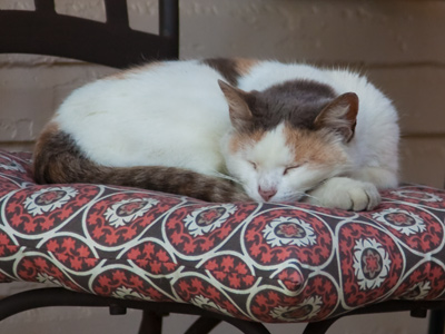 It`s important to rest up between meals.