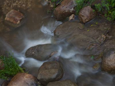 I can`t spell the sound that it was making.