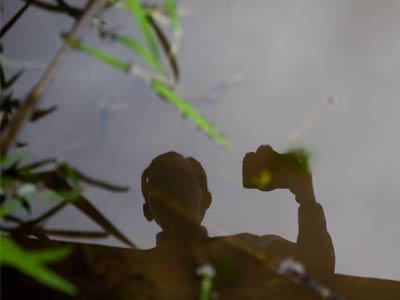 The paddles plash, the wavelets dash, we see the summer lightning flash, while now and then, in marsh and fen too muddy for the feet of men, where neither bird nor beast has stirred, the spotted bullfrog`s croak is heard. PAUL LAURENCE DUNBAR