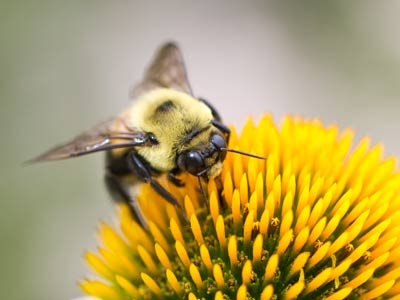What if we had to work all day just to eat?