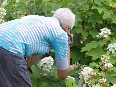There she goes again (see May 17, 2014).