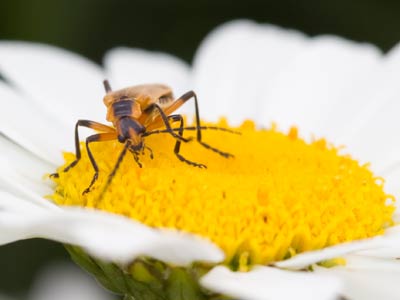 Last bug for the day, I promise.