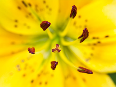 The boys tend to gather around the girls.