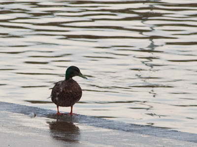 It`s nice to have my pictures for the day taken before 9:30.