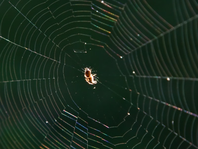 Stand in the wrong place and you`ve got no photo.