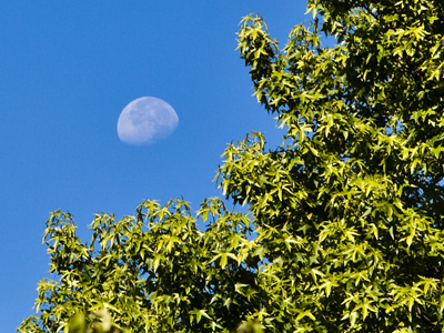 On this date in 1969, Neil Armstrong, Michael Collins and Edwin `Buzz` Aldrin left Florida for a very long trip.