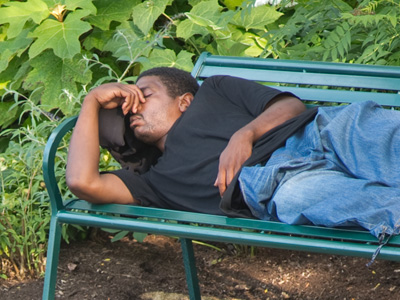 Summertime, and the living is easy.