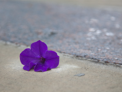 I wouldn`t care if I saw a dollar bill on the sidewalk, but I stop to take a photo of this.