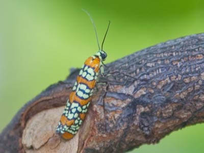 Your wife let you leave the house dressed like that?