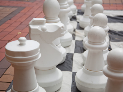 Knights, rooks, bishops and pawns.