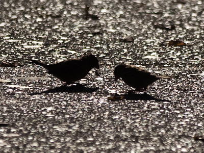 `You call this a dinner date?  You`re so cheep!`