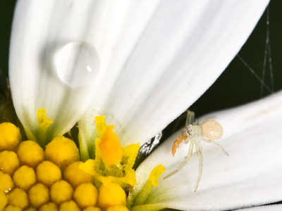 Life is on the left.  Death is on the right.  Choose wisely.