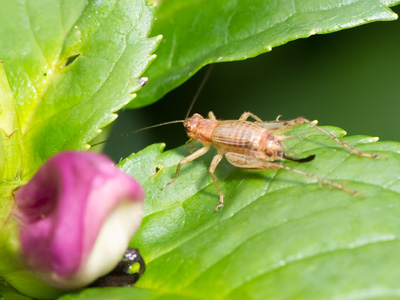 Who thinks I`m a great photographer?  [crickets]