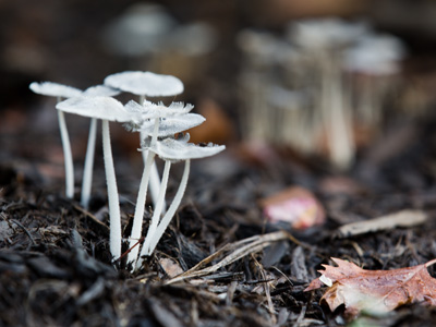 I tend to crouch down a lot.