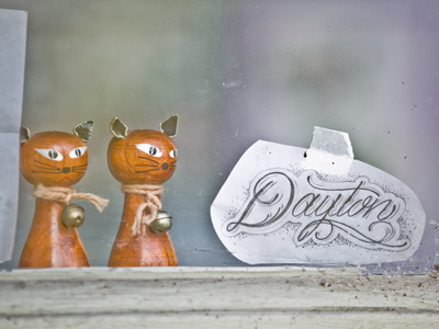 All the cool cats live in Dayton.