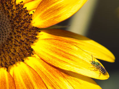 On the outside looking in.