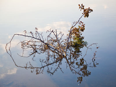 ReflectionssnoitcelfeR