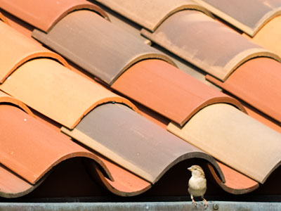 Home is where the nest is.