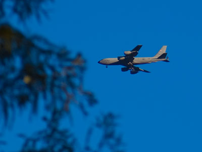 A branch of the military.