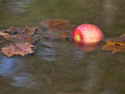 Not me.  YOU bob for it.