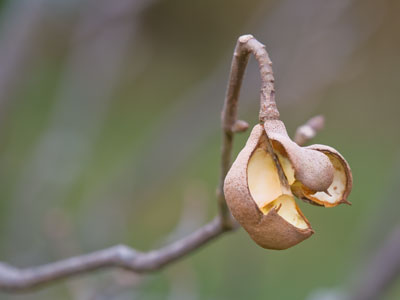 Fall is bustin` out all over.