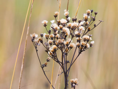 Hail was falling on my head as I took this.