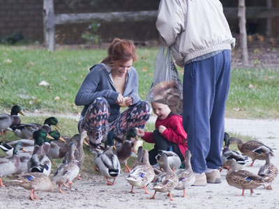 Who knew ducks like to eat stale bagels?
