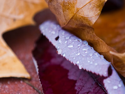 Today I had the discipline to take pictures in the morning.