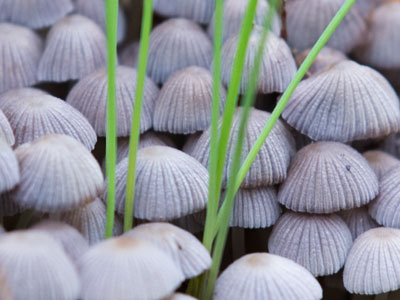 Consider the natural world around you, and nothing that happens at work or on television will seem significant.