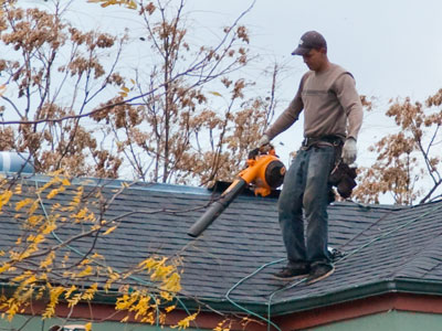 Some people are really obsessive about leaf removal.