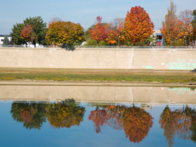 But no, it is definitely no longer summer.