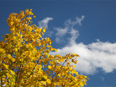 It was warm . . . when the sun was out.