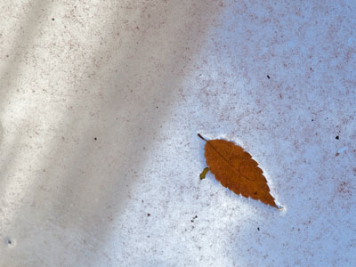 Out of the clear blue sky.