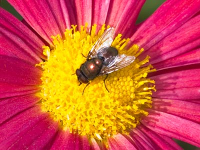 Reminiscent of the warm days of summer.