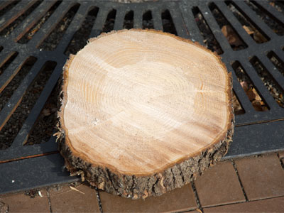 Before placing the tree in the stand, cut one to two inches from the base of the trunk. NATIONAL FIRE PROTECTION ASSOCIATION