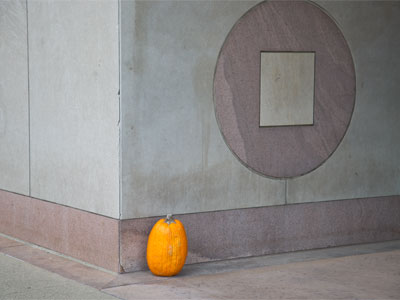 Thank you to whoever gave me this photographic gift.