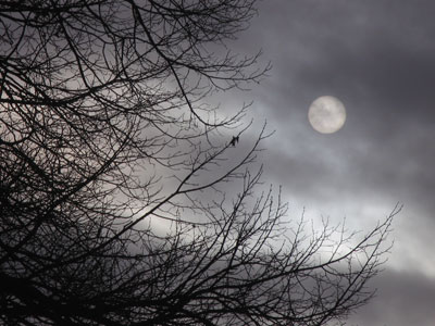 This constitutes a sunny day in November.