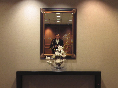 Waiting for the elevator -- nothing to do but admire myself.