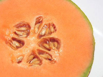 It`s a church wedding or nothing.  We can`t elope.